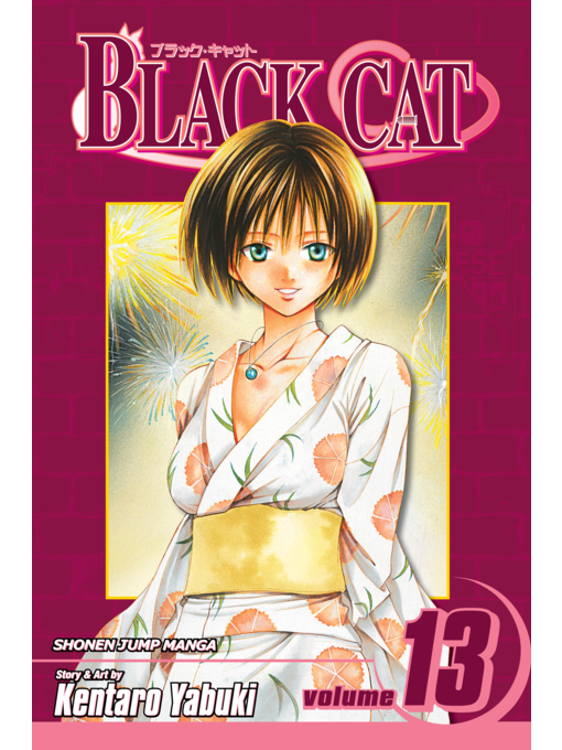 Title details for Black Cat, Volume 13 by Kentaro Yabuki - Wait list